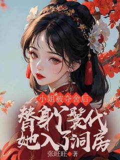 《小姐被夺舍后，替身丫鬟代她入了洞房》小说章节目录免费阅读 阿云霍悉彦小说阅读