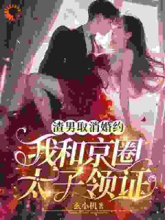 《渣男取消婚约，我和京圈太子领证》陆满星沈彦第7章完结版免费阅读