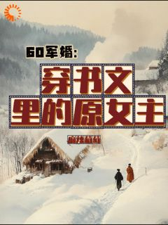 《60军婚：穿书文里的原女主》小说章节目录免费试读 林颖赵青淮小说全文