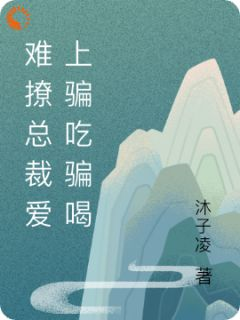 《陆瑶南文熠》难撩总裁爱上骗吃骗喝全文阅读