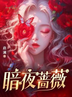 《暗夜蔷薇》小说全文在线试读 林无忧白思蕊 第5章 点到为止小说全文