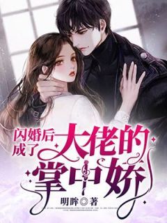 《闪婚后成了大佬的掌中娇》小说大结局精彩试读 梅眉陌骑尘小说全文