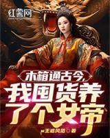 《木箱通古今，我囤货养了个女帝》小说章节免费阅读 许辰秦凝霜小说阅读