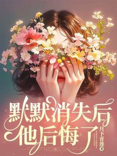 默默消失后，他后悔了小说精彩章节免费试读（主角苏清欢陆临安）