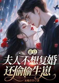 完整版《霍总，夫人不想复婚还偷偷生崽》乔可星霍战辰全文免费阅读