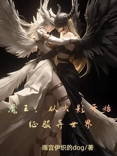 主角是魔王，从火影开始入侵异世界的小说 《夏川飒木叶》 全文在线阅读