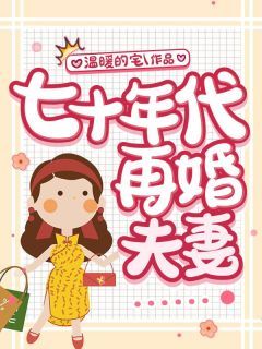 七十年代再婚夫妻完整版全文阅读 赵青岚李淮 大结局