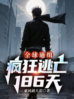 《陈思佟小雅》免费阅读 全球通缉：疯狂逃亡186天小说免费试读