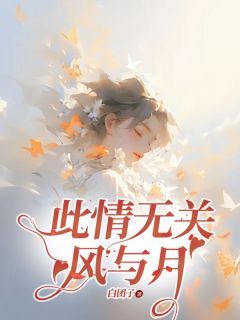 《此情无关风与月》江南枝陆时琛完结版在线阅读