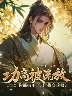 《功高被流放：狗都披甲了，让我交兵权？》小说章节精彩试读 林云萧若瑾小说阅读