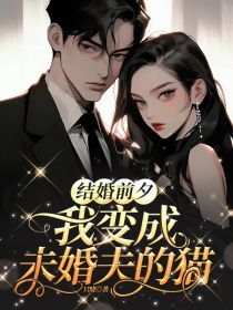 结婚前夕，我变成未婚夫的猫全文免费阅读 沈宜舒橪小说大结局无弹窗