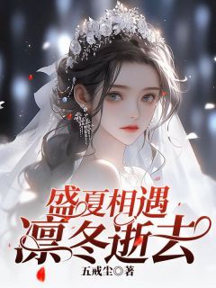 热文《顾清婉宋游》盛夏相遇，凛冬逝去小说全文无弹窗阅读