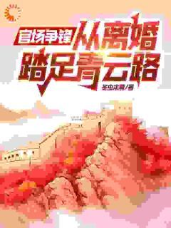 《官场争锋，从离婚踏足青云路！》齐国伟方苹精彩内容在线阅读