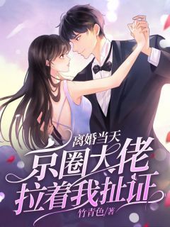 《离婚当天京圈大佬拉着我扯证》苏沐顾言鹤第13章章节目录免费试读