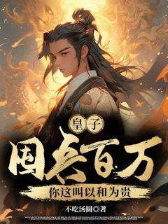 《皇子：屯兵百万，你这叫以和为贵》宁浩陈燕燕大结局在线阅读 第17章