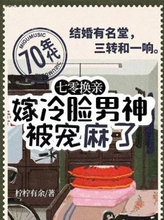 高文玥陆向野精彩章节小说免费试读地址 主角七零换亲，嫁冷脸男神被宠麻了