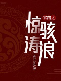 《官路之惊涛骇浪》大结局在线试读 《官路之惊涛骇浪》最新章节列表