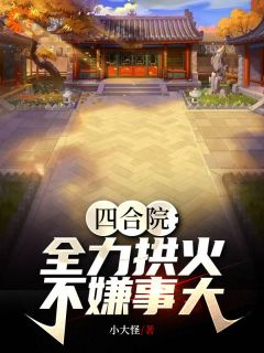 《四合院：全力拱火，不嫌事大》小说章节目录在线阅读 王建业易中海小说全文