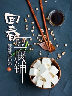 《林燕儿林丫丫》小说全文精彩章节免费试读（回春豆腐铺）