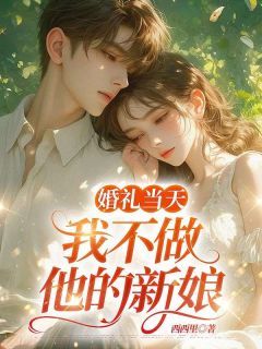 好书推荐《婚礼当天，我不做他的新娘》盛纤纤叶南辰全文免费试读