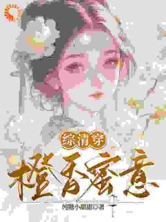 精品《综清穿：橙香蜜意》小说免费试读 雪瑶康熙小说全集无删减全文