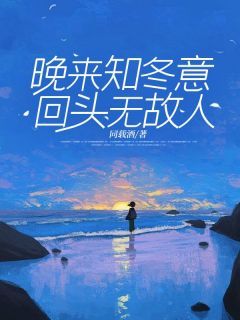 《沈冬意穆晏川付煜呈》小说章节在线阅读 晚来知冬意，回头无故人小说全文