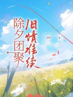 《除夕团聚，旧情难续》小说章节目录免费阅读 关漫沈旭小说全文