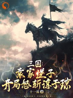 《三国：袁家逆子，开局怒斩淳于琼》小说章节列表在线阅读 袁熙袁绍小说阅读