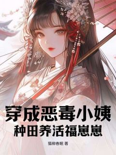 《穿成恶毒小姨，种田养活福崽崽》沈南微沈君芋小说全文免费阅读