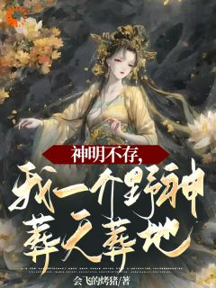 《神明不存，我一介野神葬天葬地》小说章节在线试读 苏千念王莽小说全文