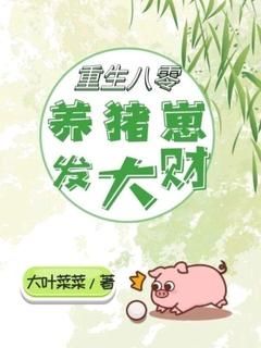 《重生八零：养猪崽发大财》小说全文在线阅读 白苗苗白学仁第6章 猪尿乃至阳之物小说阅读