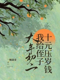 《大年初二，我给侄子十元压岁钱》小说全文在线阅读 《大年初二，我给侄子十元压岁钱》主角：月月瑶瑶李晓梅  3最新章节列表