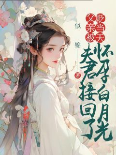 精品热文《父亲被贬当天，夫君接回了怀孕白月光》顾宴书叶婉仪小说全文完整版在线阅读无删减