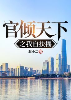 《官倾天下之我自扶摇》小说全文精彩章节在线阅读（林一阳宁清薇）