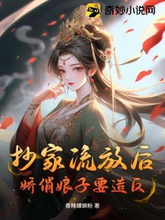 《抄家流放后，娇俏娘子要造反》小说章节在线阅读 洛晚卿洛瑶瑶小说全文