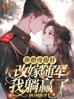 精品热文《新婚夜捉奸，改嫁随军我躺赢了》沈晚柠江行简小说全文完整版在线阅读无删减