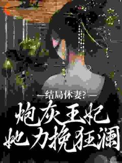 《结局休妻？炮灰王妃她力挽狂澜》全文精彩章节在线阅读（李天娇玉宸）