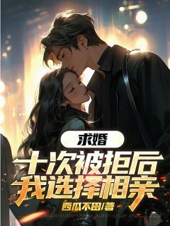 完整版《何宏深陆灿霜》求婚十次被拒后，我选择相亲全文免费阅读