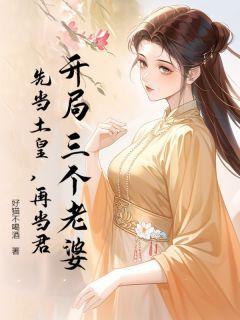 好书推荐《孙坚周婉儿》开局三个老婆，先当土皇，再当君全文在线阅读