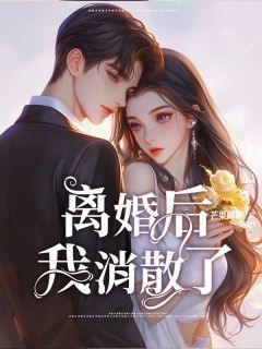 夏雨陆行洲离婚后，我消散了小说在线阅读全文章节目录完整版