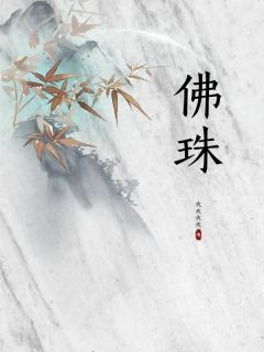 《佛珠》赵文宗杨柳杨安梁杨依依全文免费试读