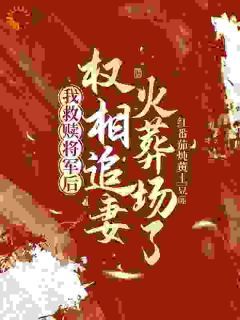 新书《我救赎将军后，权相追妻火葬场了》小说全集阅读 沈希瑶楚凌秋小说免费精彩章节全文