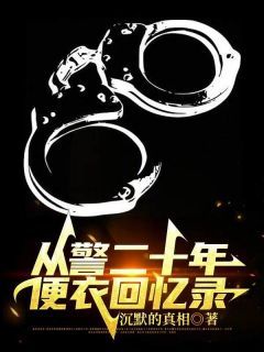 从警二十年，便衣回忆录免费阅读 高峰林宇的小说在线阅读