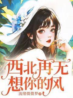 《西北再无想你的风》免费阅读 顾佳怡黎淮山在线阅读