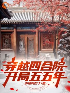 《李先锋闫埠贵》穿越四合院，开局五五年章节目录在线试读