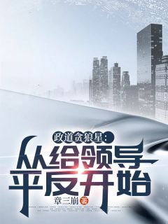 【爆款新书】陈诚楚瑜清 政道贪狼星：从给领导平反开始小说全文章节免费试读